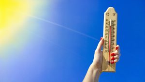 What Happens in a Heatwave: Are You Legally Entitled to Take Breaks?
